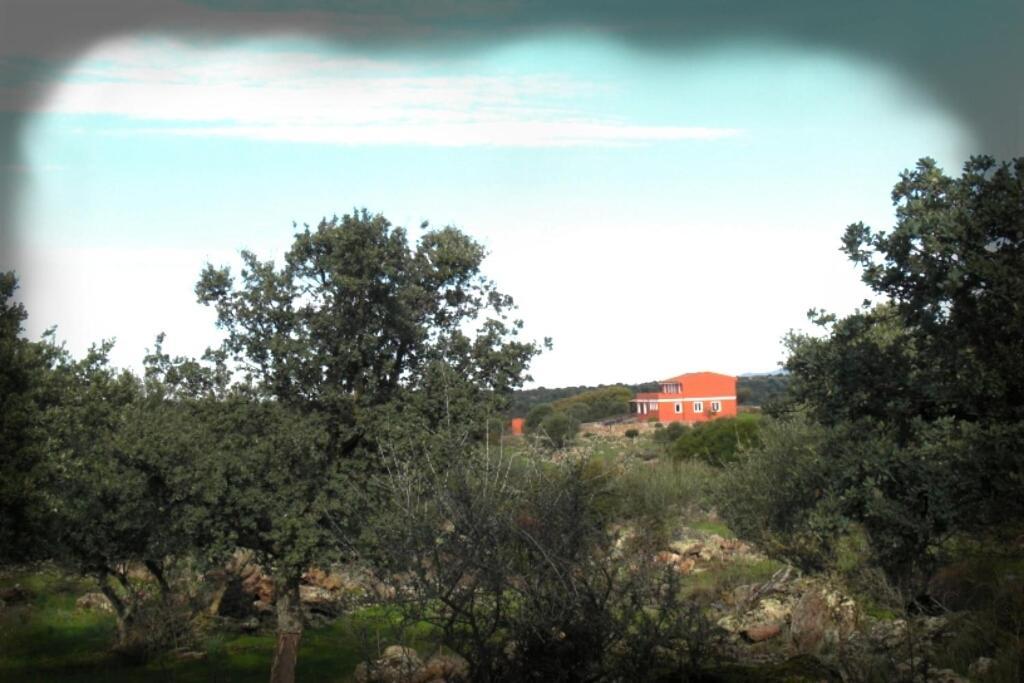Agriturismo Pentuma Chiaramonti エクステリア 写真