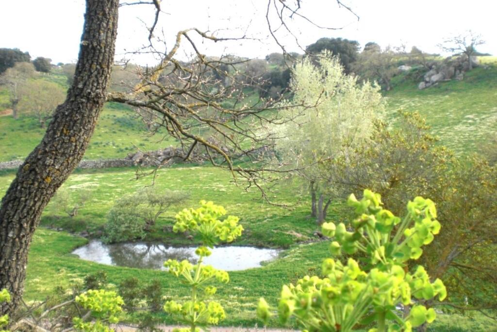 Agriturismo Pentuma Chiaramonti エクステリア 写真