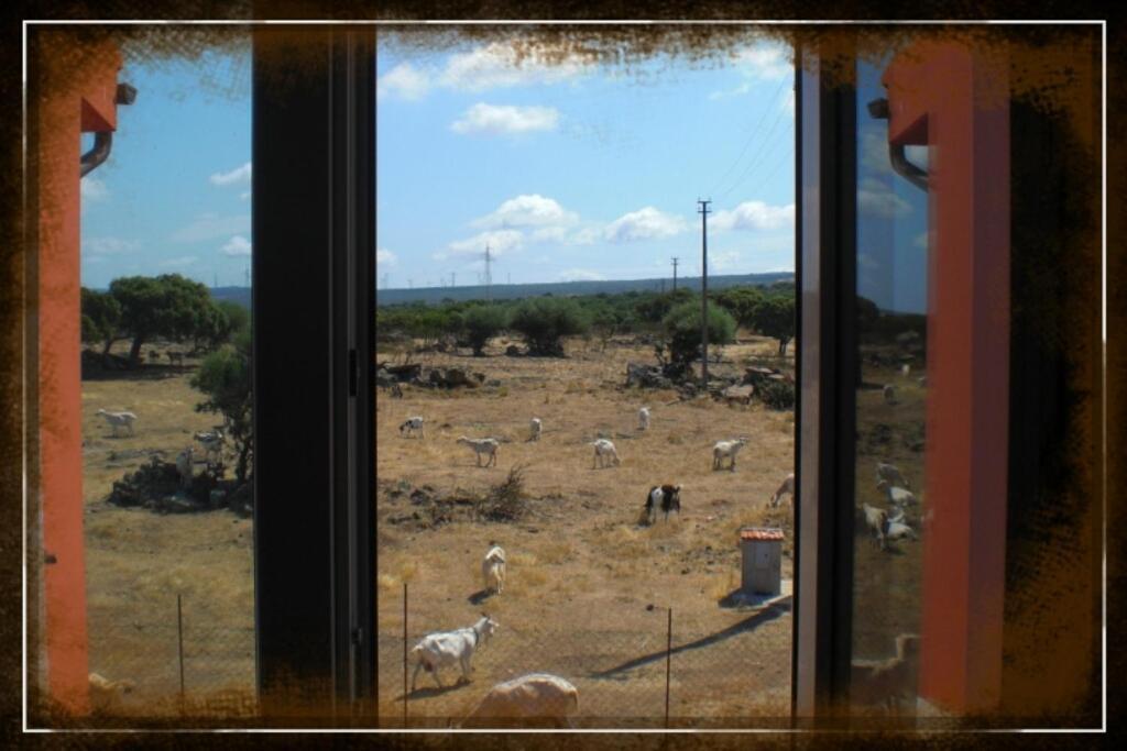 Agriturismo Pentuma Chiaramonti 部屋 写真