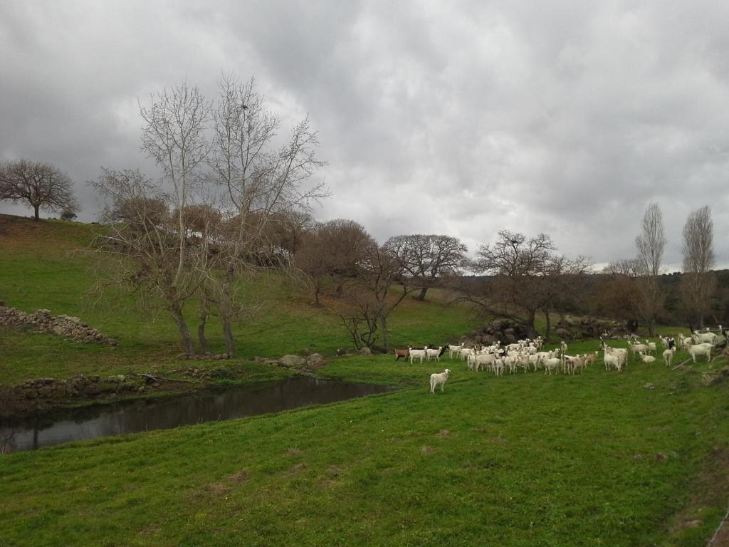 Agriturismo Pentuma Chiaramonti エクステリア 写真