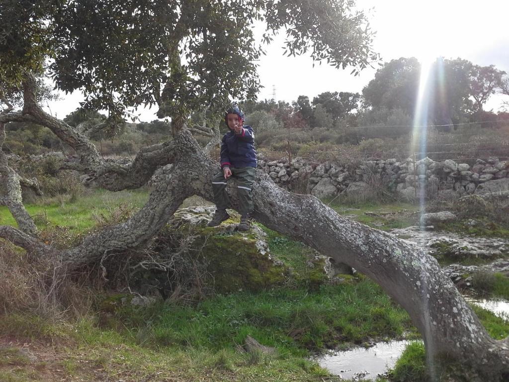 Agriturismo Pentuma Chiaramonti エクステリア 写真